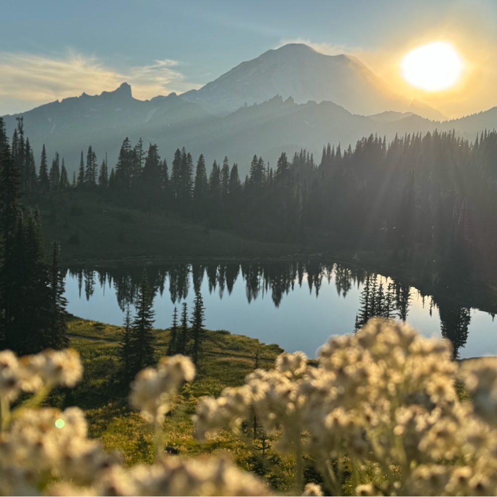 Meet your Posher, Denise